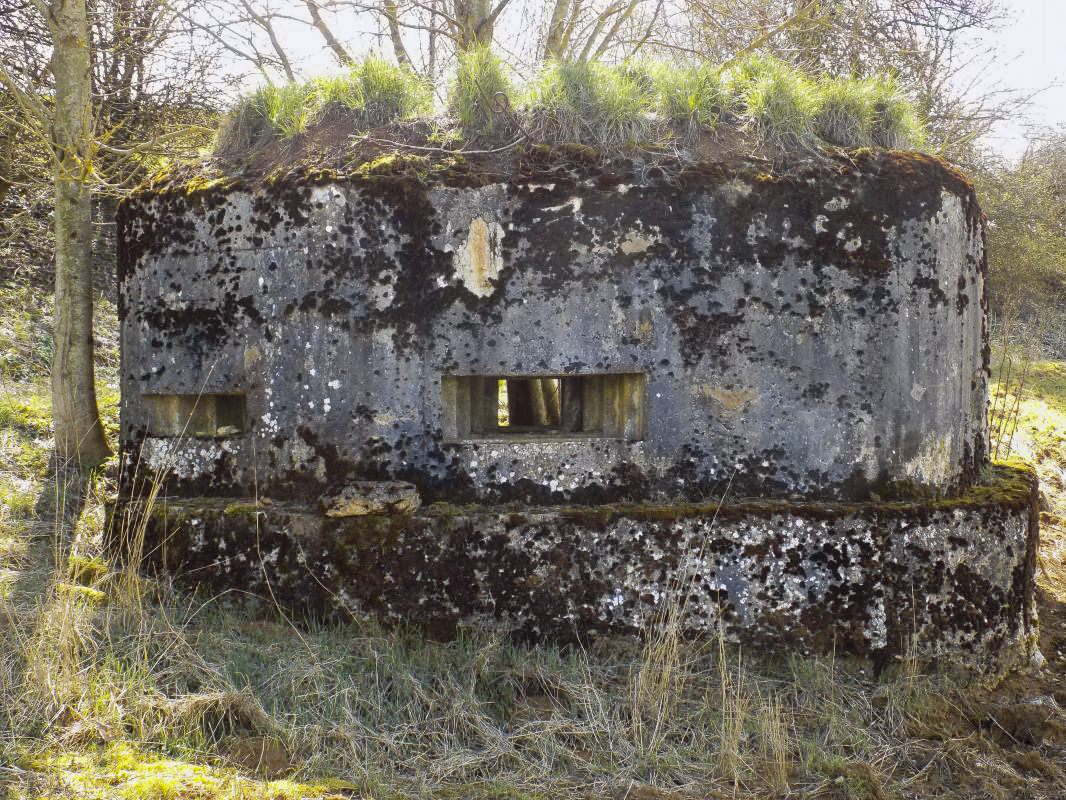 Ligne Maginot - 9B - LE CHENELET SUD - (Blockhaus pour arme infanterie) - Faces droite et frontale droite - R Tucker