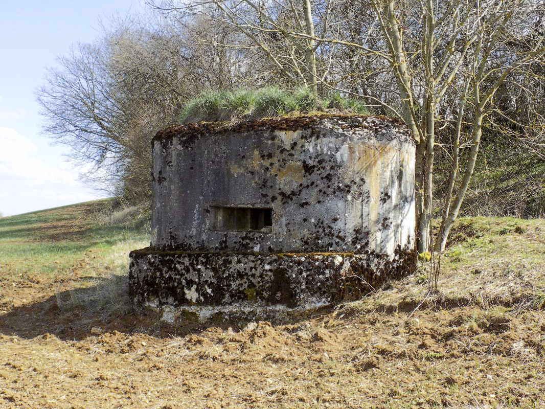 Ligne Maginot - 9B - LE CHENELET SUD - (Blockhaus pour arme infanterie) - Face frontale gauche - R Tucker