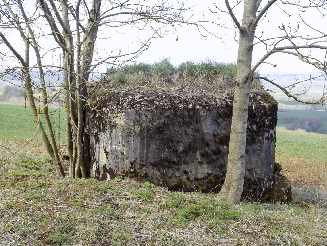 Ligne Maginot - 9B - LE CHENELET SUD - (Blockhaus pour arme infanterie) - Face l'arrière droite - R Tucker