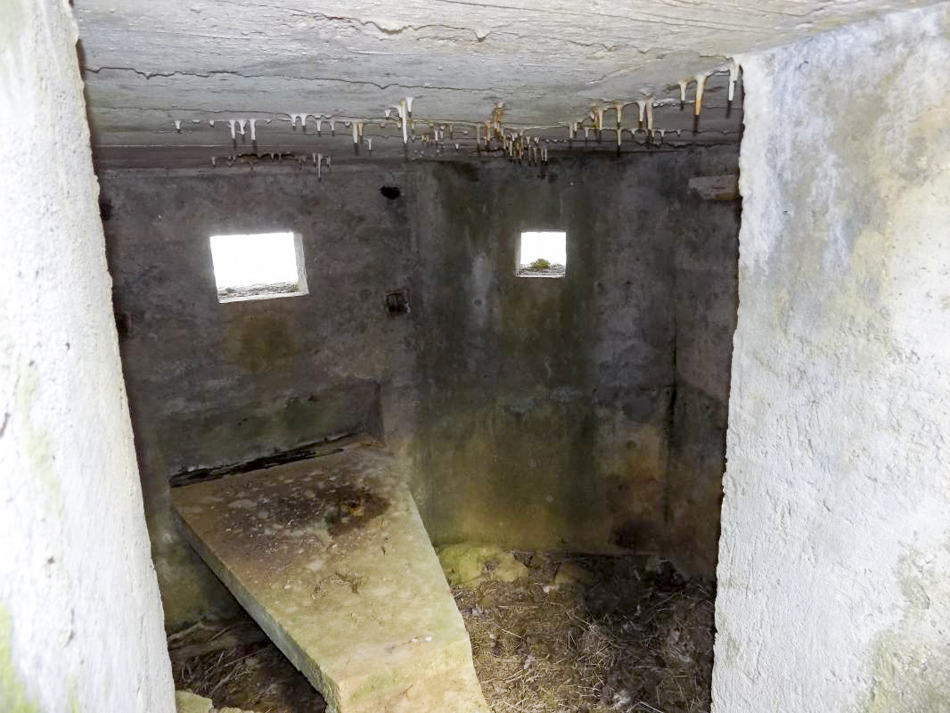 Ligne Maginot - 9B - LE CHENELET SUD - (Blockhaus pour arme infanterie) - Créneaux Hotchkiss  et FM à droite - R Tucker