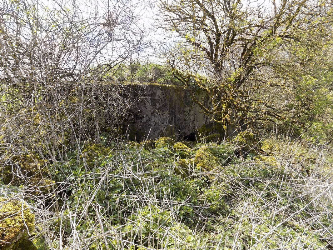 Ligne Maginot - LA MAGNE - (Observatoire d'infanterie) - Faces gauche / frontale - R Tucker