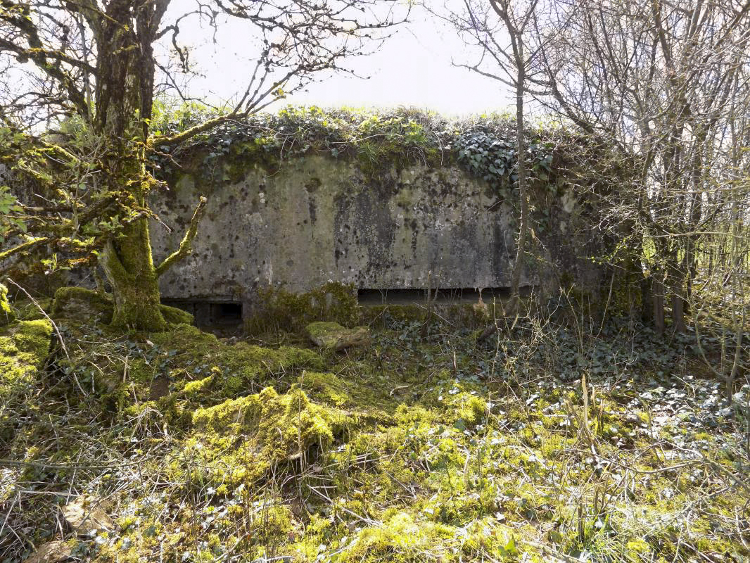 Ligne Maginot - LA MAGNE - (Observatoire d'infanterie) - Face frontale - R Tucker