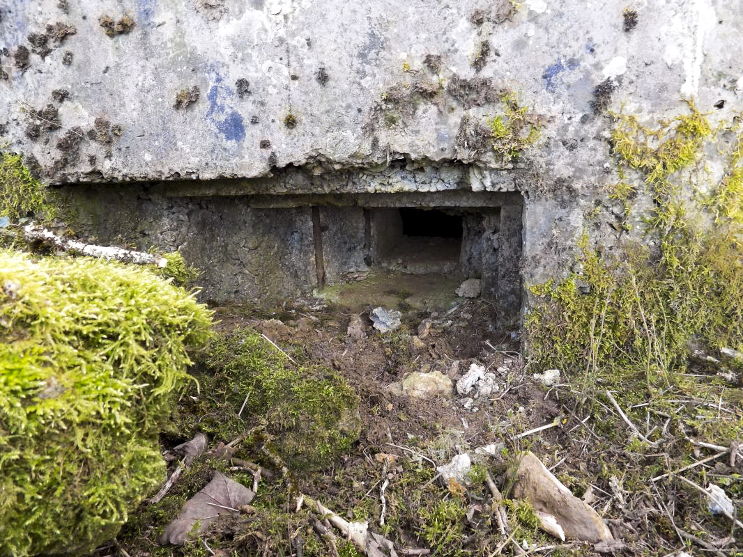 Ligne Maginot - LA MAGNE - (Observatoire d'infanterie) - Créneau FM - R Tucker