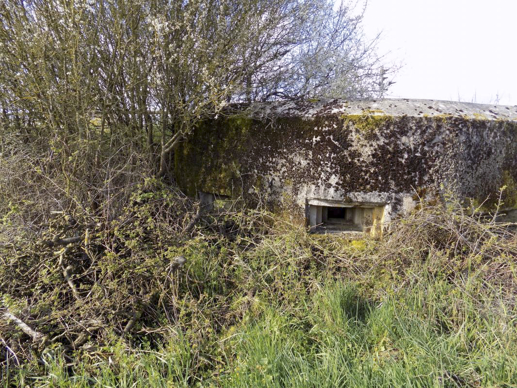 Ligne Maginot - 9C - PASSAGE à NIVEAU DE YONCK - (Blockhaus pour arme infanterie) - Faces droite et centrale - R Tucker