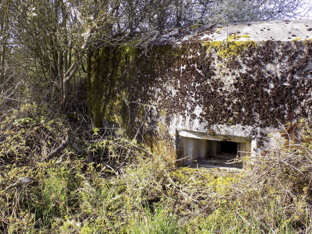 Ligne Maginot - 9C - PASSAGE à NIVEAU DE YONCK - (Blockhaus pour arme infanterie) - Face centrale - R Tucker