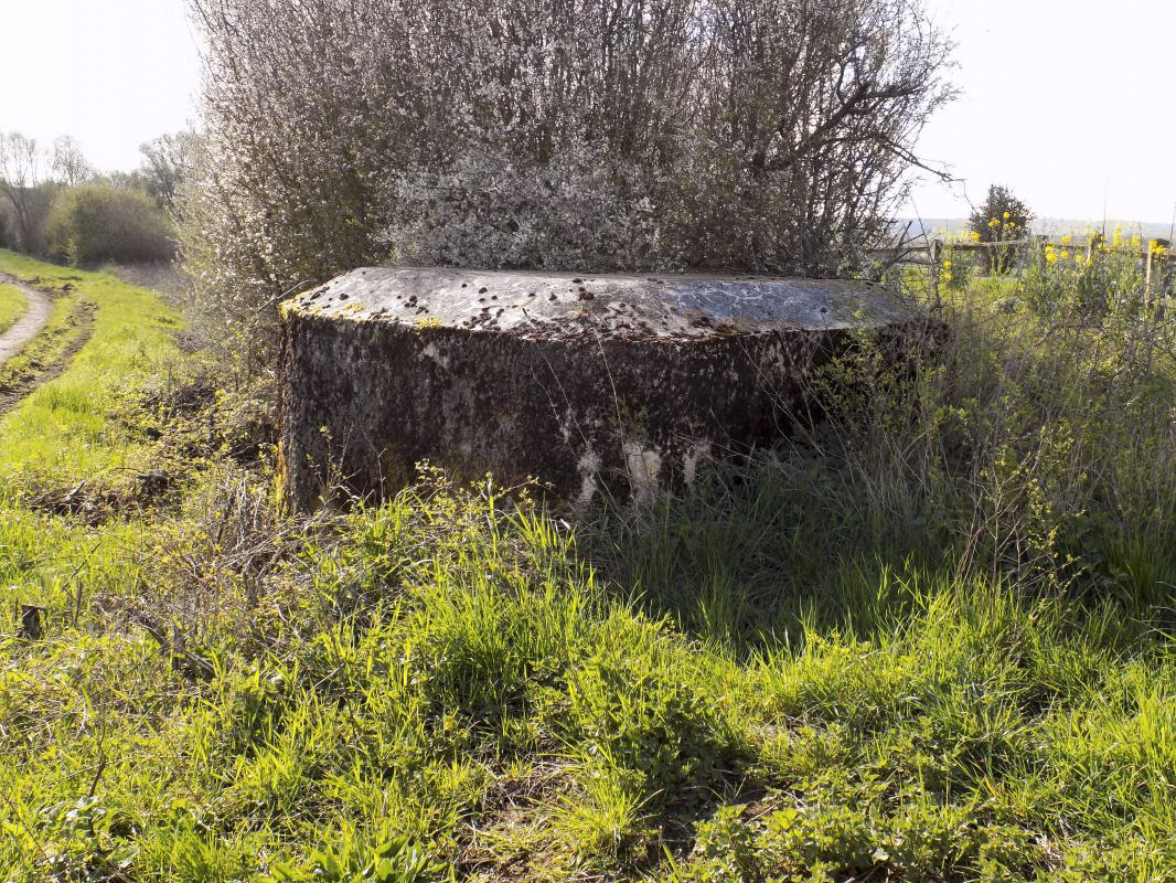 Ligne Maginot - 9C - PASSAGE à NIVEAU DE YONCK - (Blockhaus pour arme infanterie) - Faces gauche - R Tucker