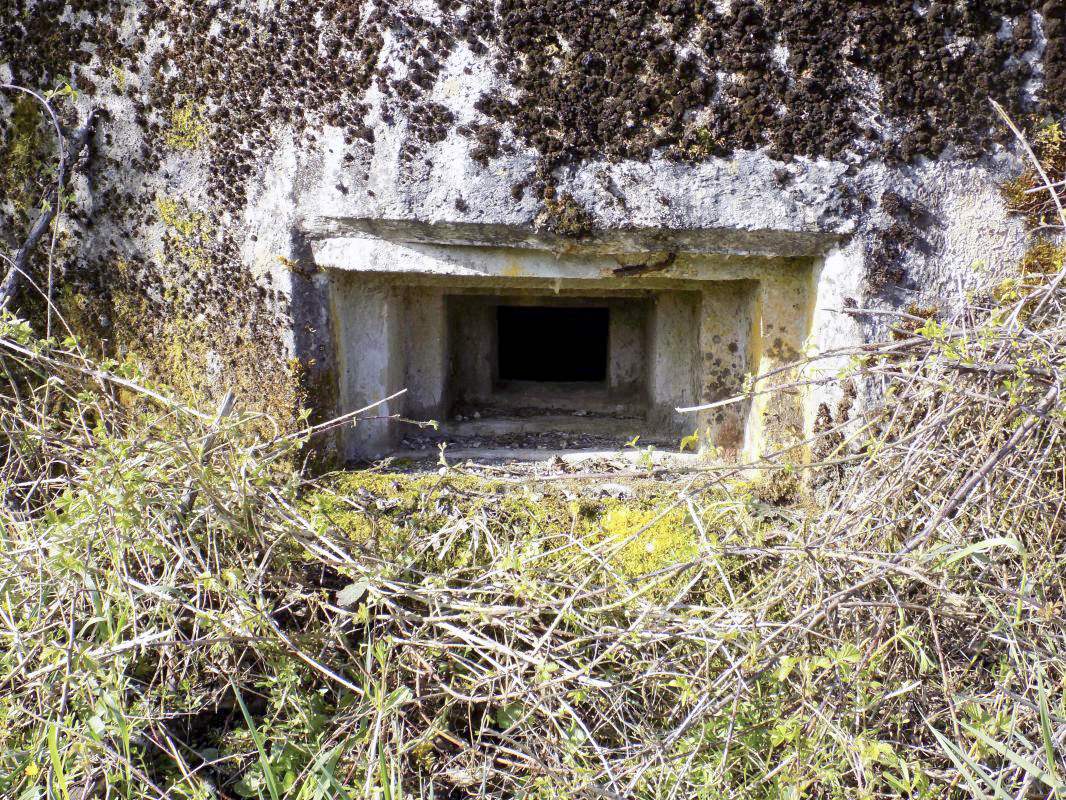 Ligne Maginot - 9C - PASSAGE à NIVEAU DE YONCK - (Blockhaus pour arme infanterie) - Créneau centrale - R Tucker