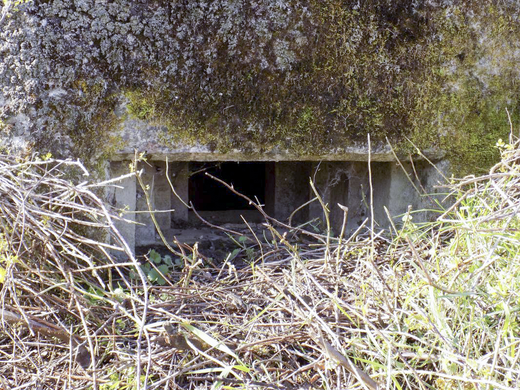 Ligne Maginot - 9C - PASSAGE à NIVEAU DE YONCK - (Blockhaus pour arme infanterie) - Créneau gauche - R Tucker