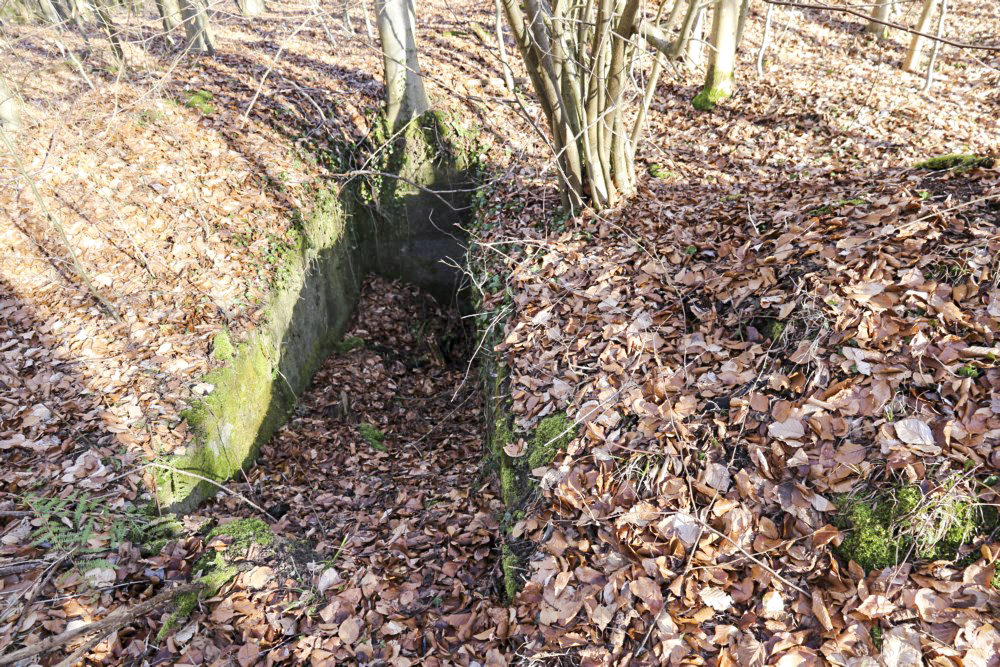 Ligne Maginot - OELMUEHLE (3° CIE I/156° RIF) - (PC de Sous-Quartier) -  - Alain Perouffe