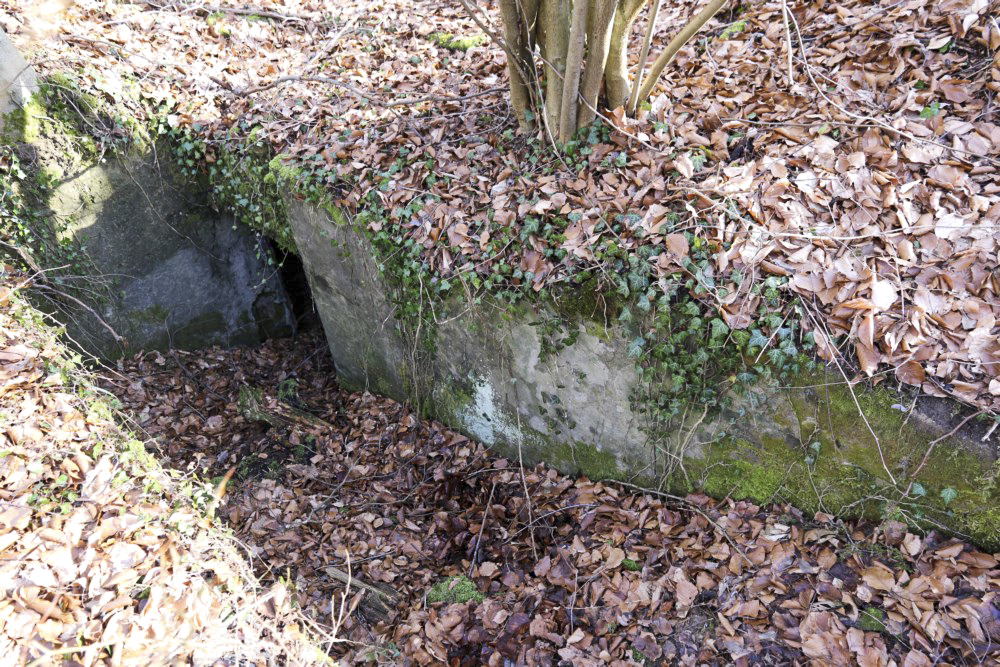 Ligne Maginot - OELMUEHLE (3° CIE I/156° RIF) - (PC de Sous-Quartier) -  - Alain Perouffe