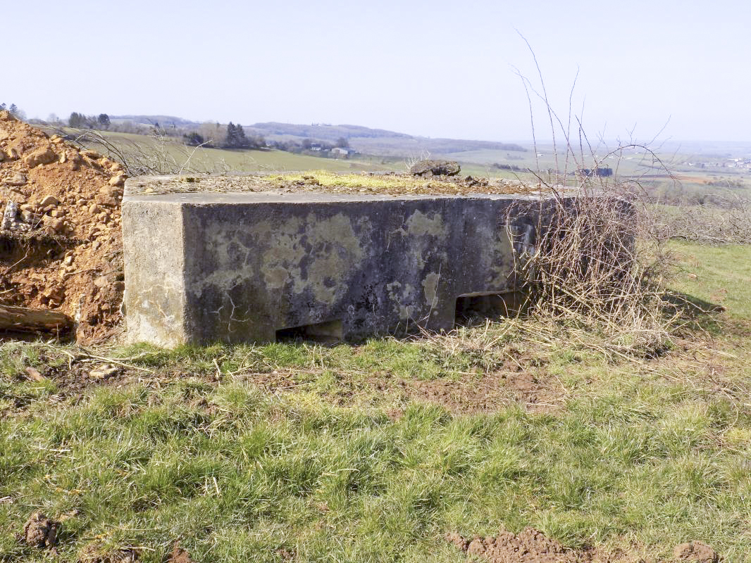 Ligne Maginot - 10A - LE CHENELET NORD - (Blockhaus pour canon) - Face l'est - R Tucker