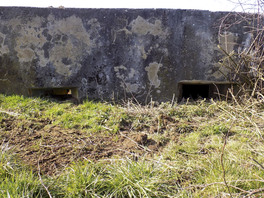 Ligne Maginot - 10A - LE CHENELET NORD - (Blockhaus pour canon) - Face l'est, les créneaux - R Tucker