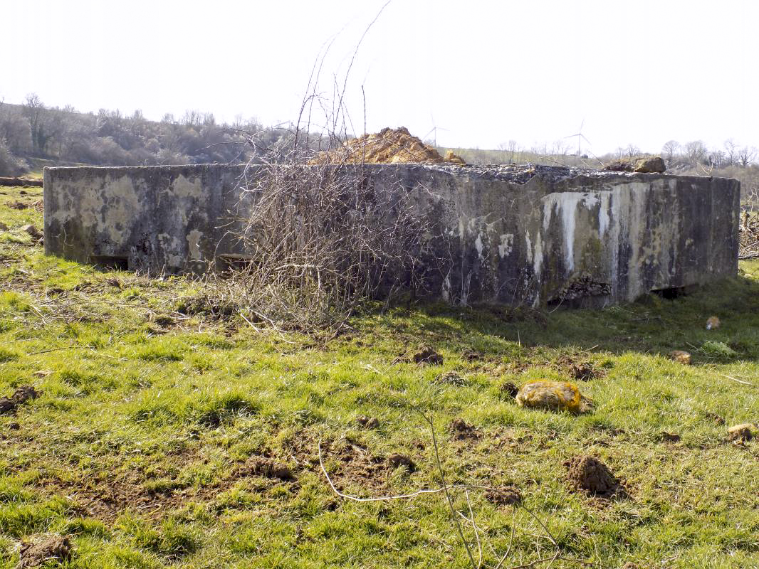 Ligne Maginot - 10A - LE CHENELET NORD - (Blockhaus pour canon) - Faces est et nord-est - R Tucker