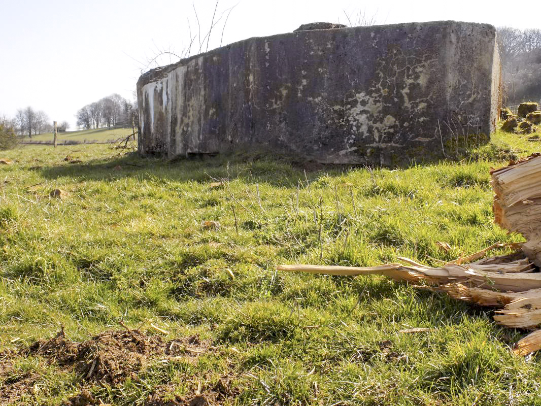 Ligne Maginot - 10A - LE CHENELET NORD - (Blockhaus pour canon) - Faces nord-est, nord-ouest - R Tucker