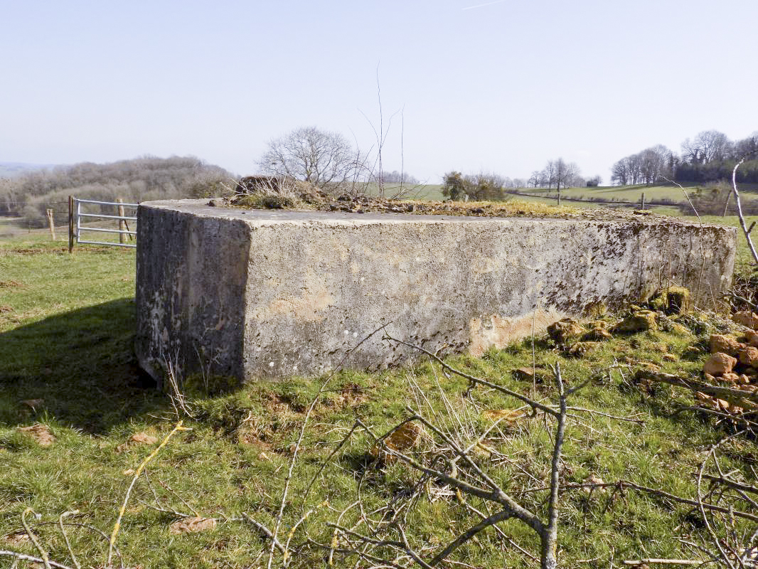 Ligne Maginot - 10A - LE CHENELET NORD - (Blockhaus pour canon) - Face ouest - R Tucker