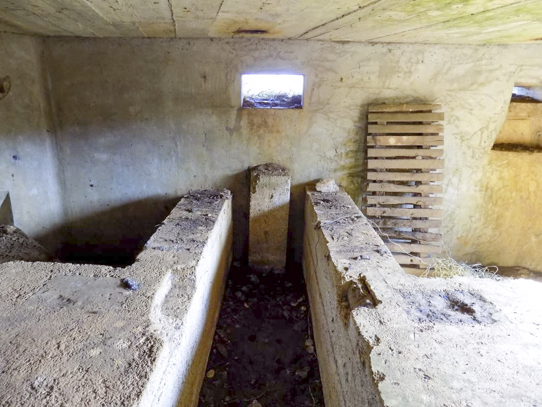 Ligne Maginot - 10A - LE CHENELET NORD - (Blockhaus pour canon) - Créneau AC, vers l'est - R Tucker