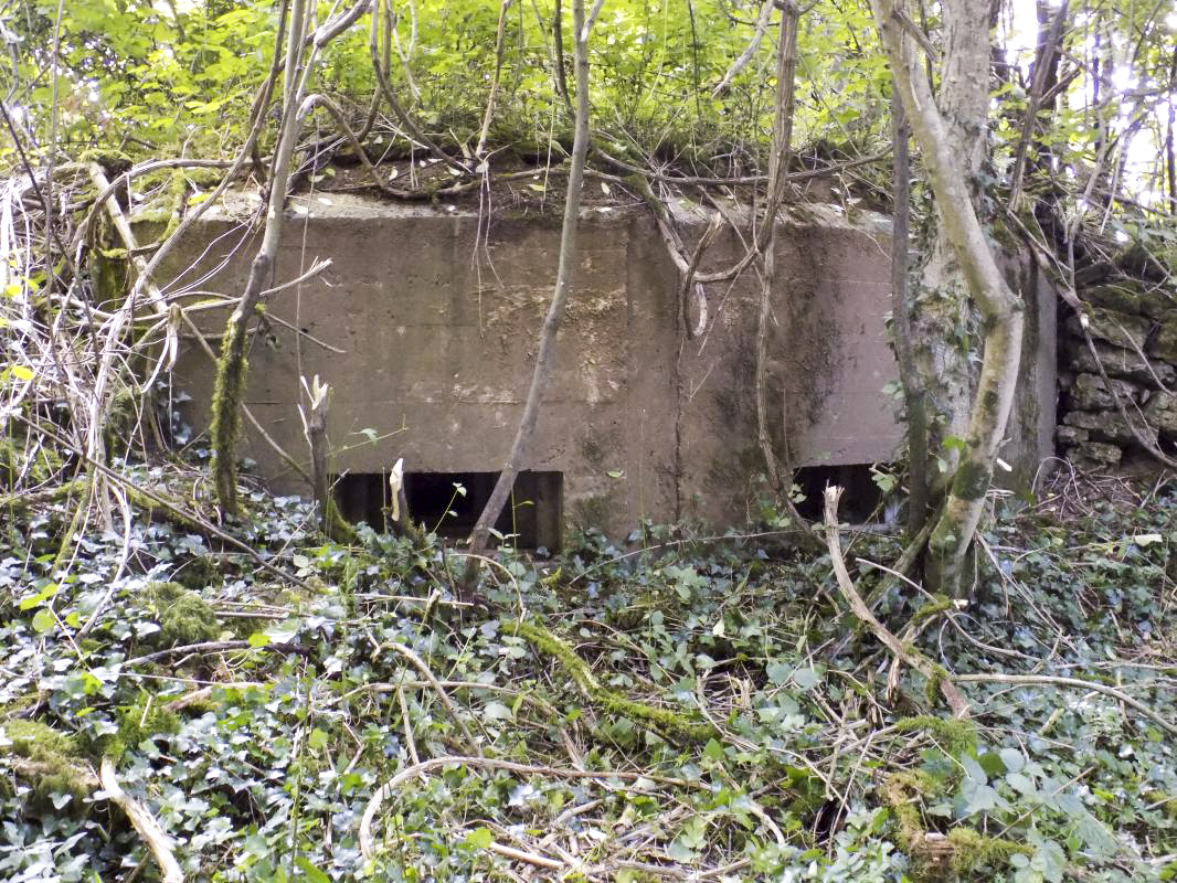 Ligne Maginot - 10B - CHAMP FONTAINE - (Blockhaus pour arme infanterie) - Face frontale - R Tucker