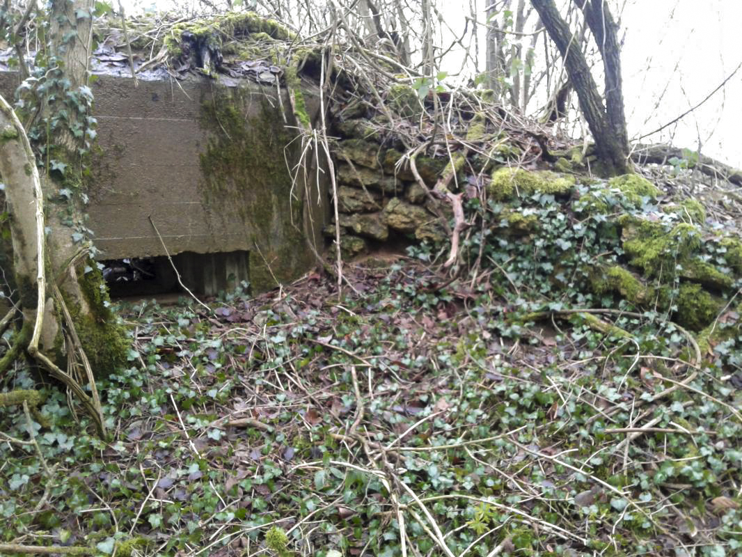 Ligne Maginot - 10B - CHAMP FONTAINE - (Blockhaus pour arme infanterie) - Mur en aile, réalisé en pierres sèches. - Fabrice THOMASSIN