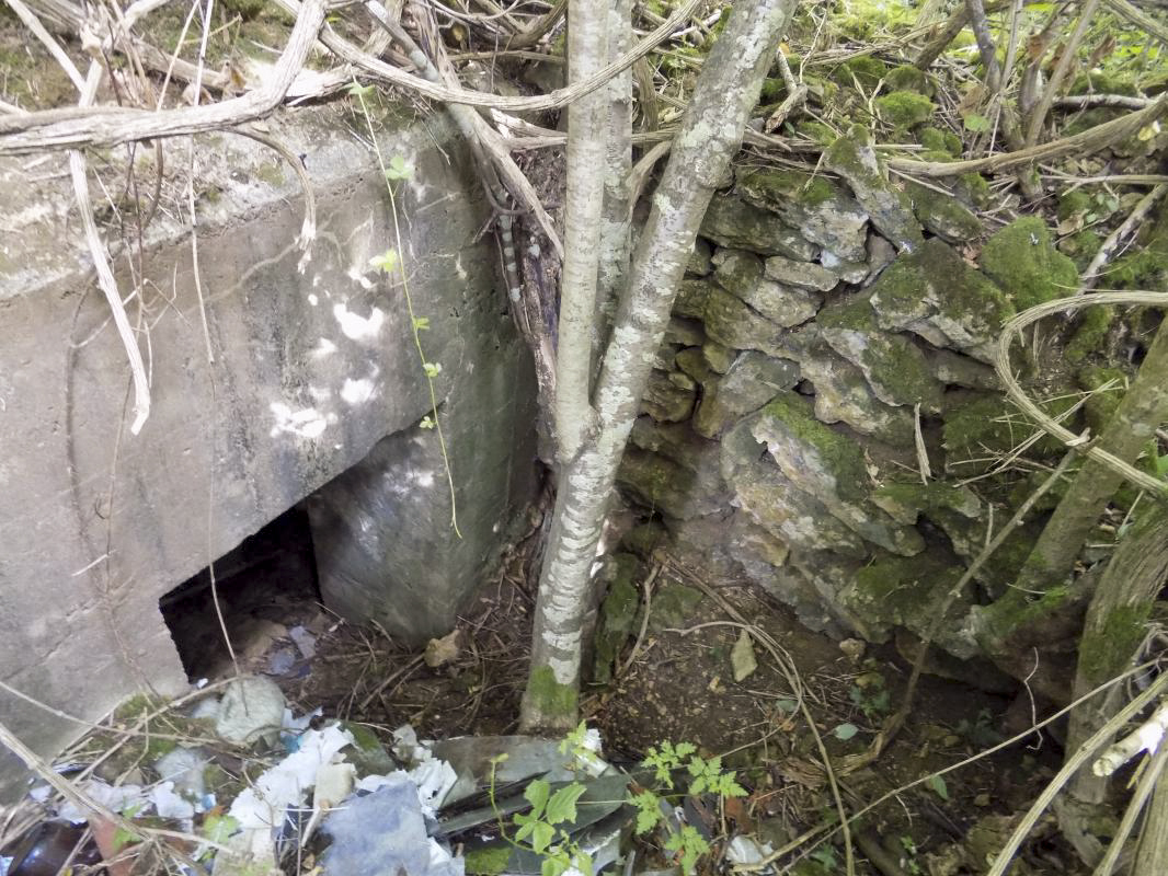 Ligne Maginot - 10B - CHAMP FONTAINE - (Blockhaus pour arme infanterie) - L'arrière - R Tucker