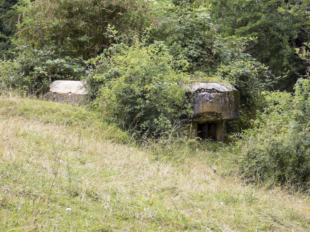 Ligne Maginot - 10C - CHATEAU D'AUTRECOURT - (Blockhaus pour arme infanterie) - Pris de l'est - R Tucker