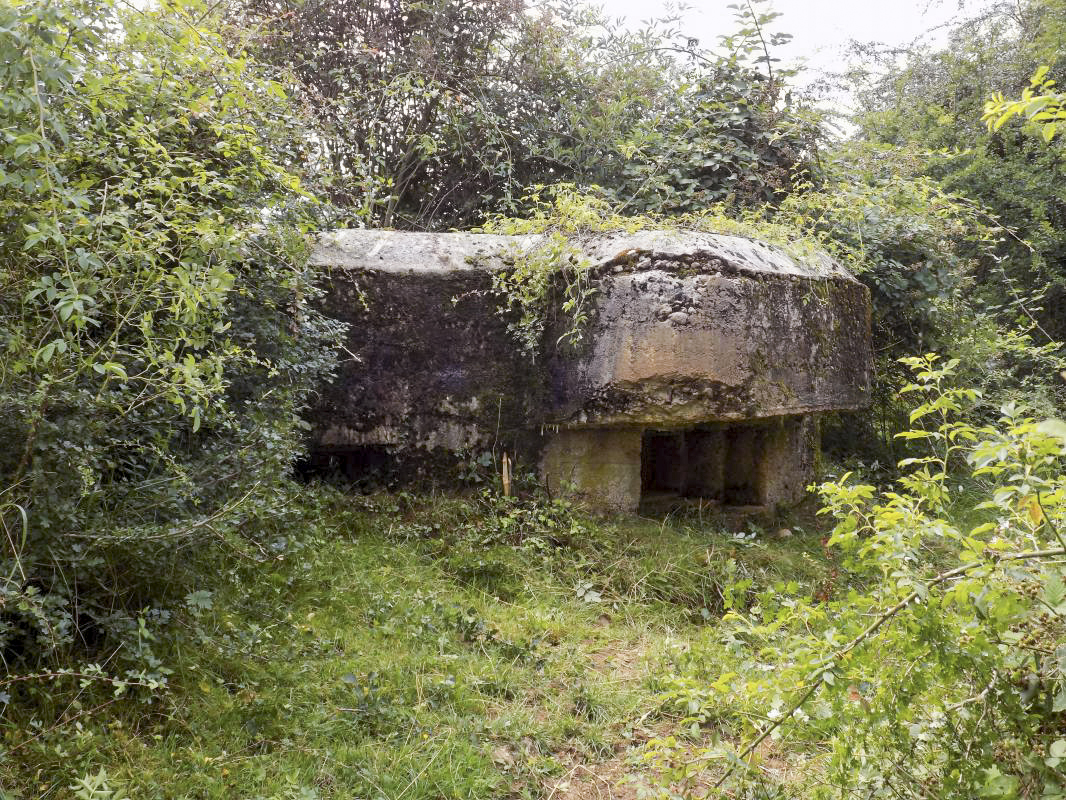 Ligne Maginot - 10C - CHATEAU D'AUTRECOURT - (Blockhaus pour arme infanterie) - Faces droite et frontale - R Tucker