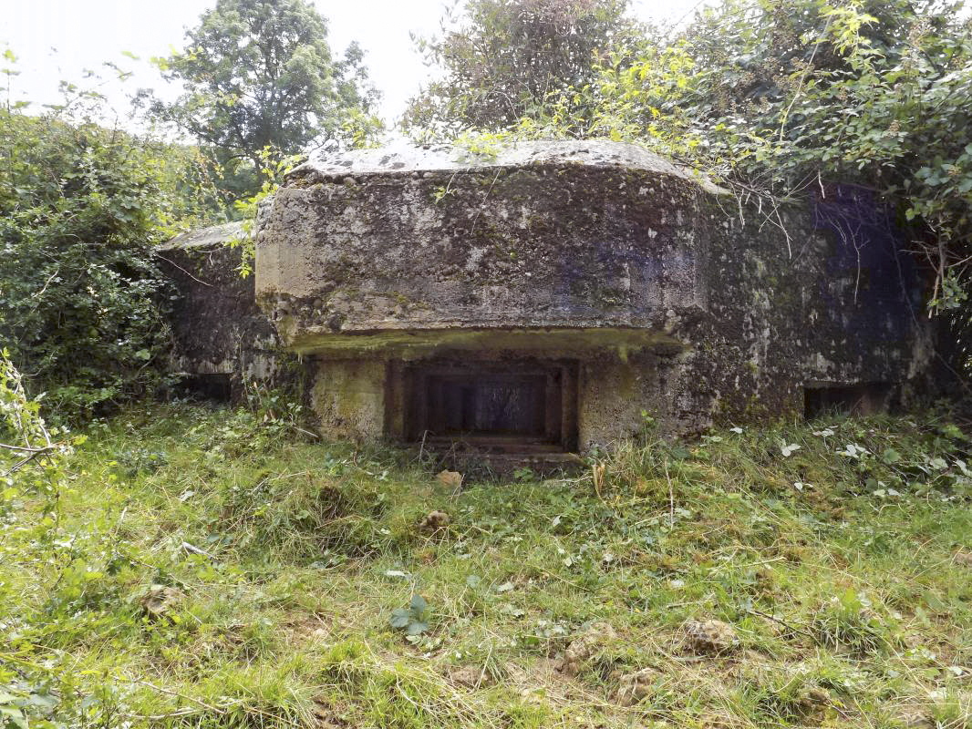 Ligne Maginot - 10C - CHATEAU D'AUTRECOURT - (Blockhaus pour arme infanterie) - Face frontale. (Vers le nord-est). - R Tucker