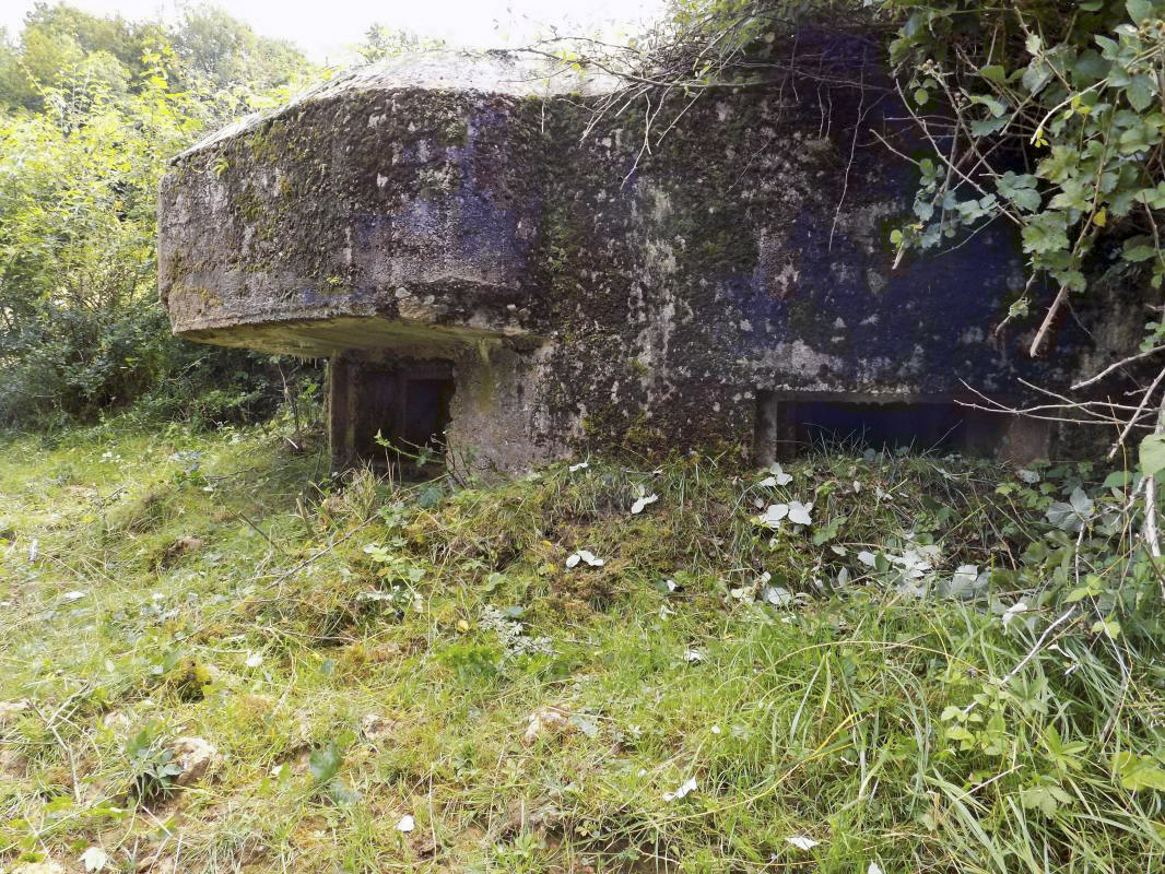 Ligne Maginot - 10C - CHATEAU D'AUTRECOURT - (Blockhaus pour arme infanterie) - Faces frontale et gauche - R Tucker