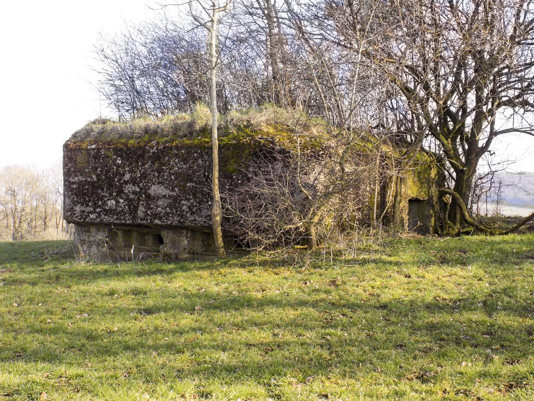 Ligne Maginot - 11A - LA BOULETTE - (Blockhaus pour canon) - Faces nord / ouest - R Tucker