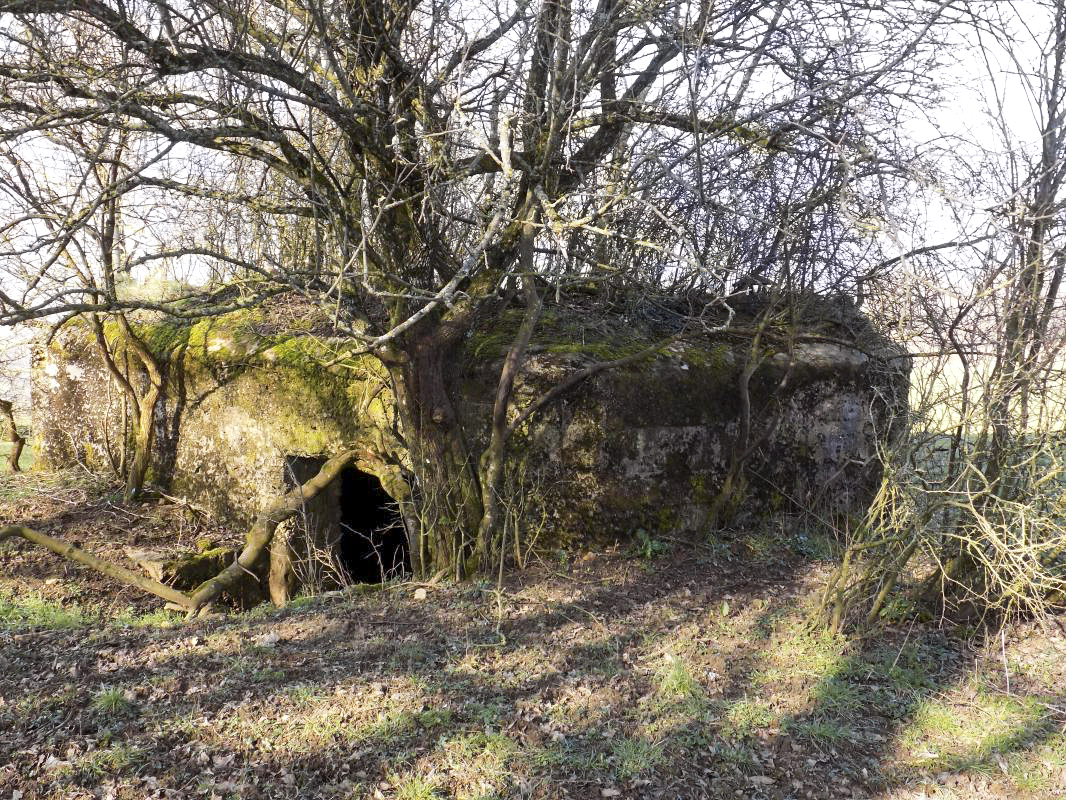 Ligne Maginot - 11A - LA BOULETTE - (Blockhaus pour canon) - L’arrière / face sud-est - R Tucker