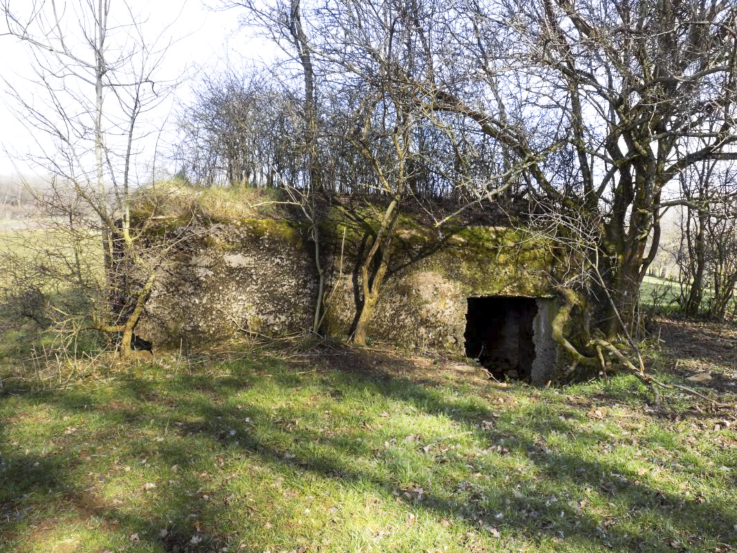 Ligne Maginot - 11A - LA BOULETTE - (Blockhaus pour canon) - L'entrée, face l'ouest - R Tucker