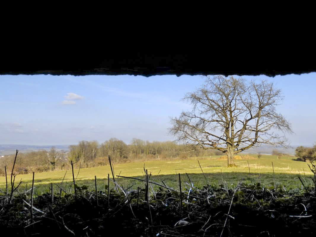 Ligne Maginot - 11A - LA BOULETTE - (Blockhaus pour canon) - Vue du créneau AC vers l'est - R Tucker