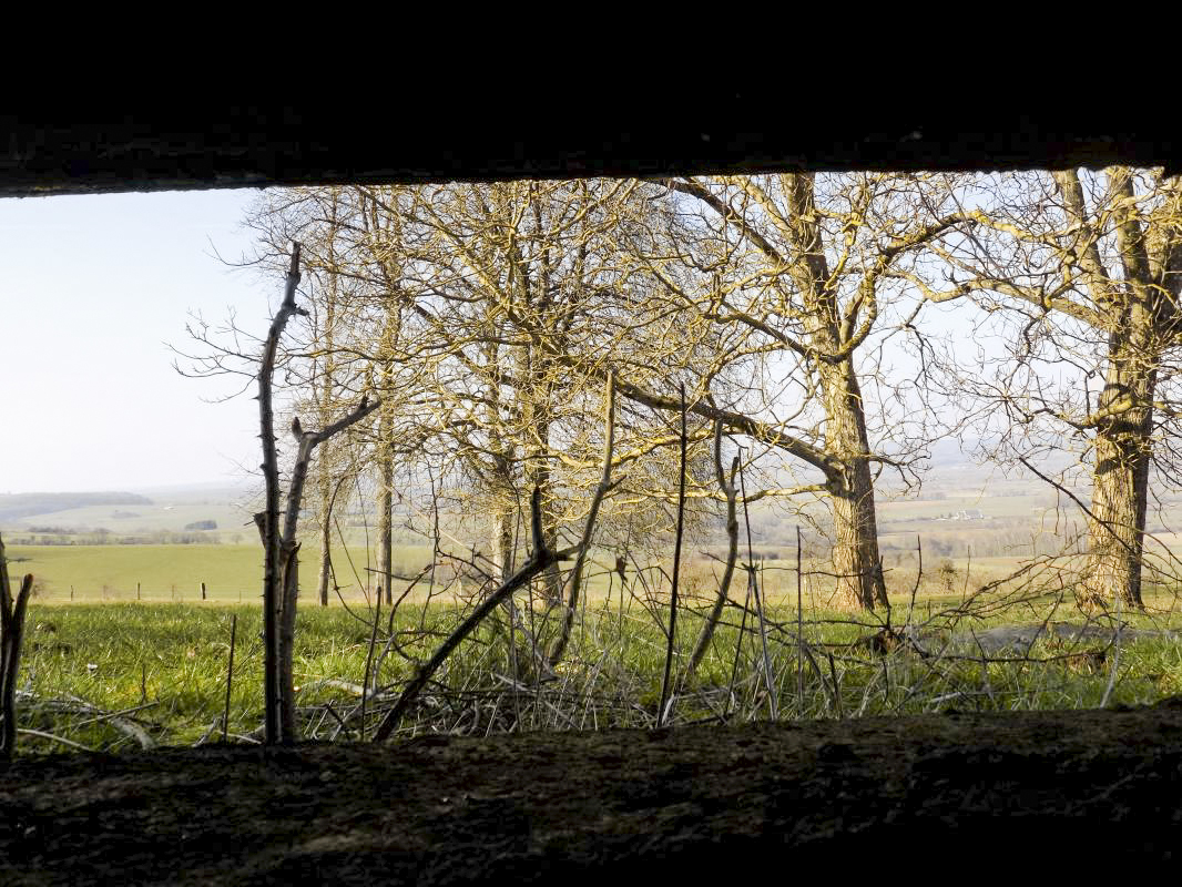 Ligne Maginot - 11A - LA BOULETTE - (Blockhaus pour canon) - Vue du créneau Hotchkiss vers le nord - R Tucker