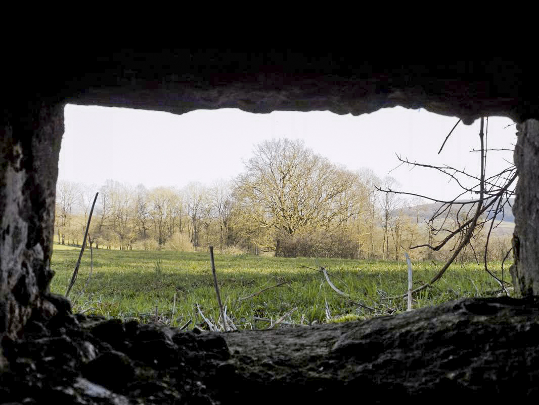 Ligne Maginot - 11A - LA BOULETTE - (Blockhaus pour canon) - Vue du créneau FM vers le sud-est - R Tucker