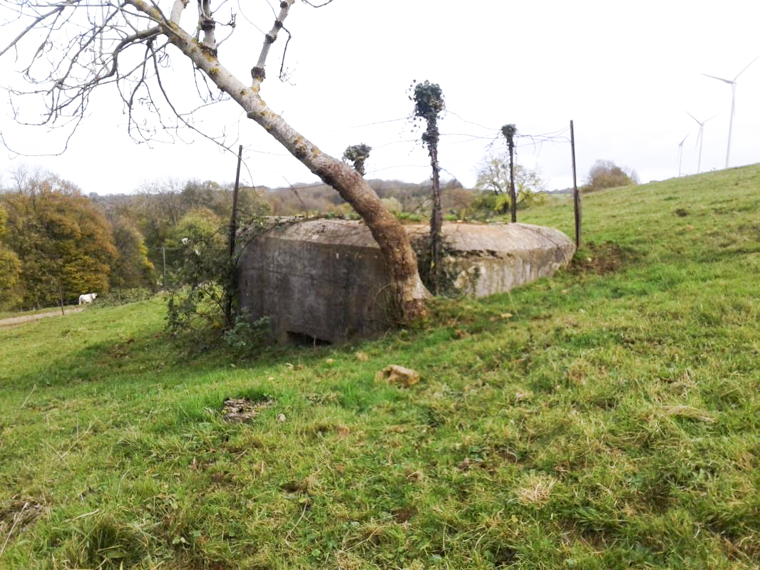 Ligne Maginot - 11B - FERME LA FOLIE - (Blockhaus pour arme infanterie) - Vue de l'Ouest - Fabrice THOMASSIN