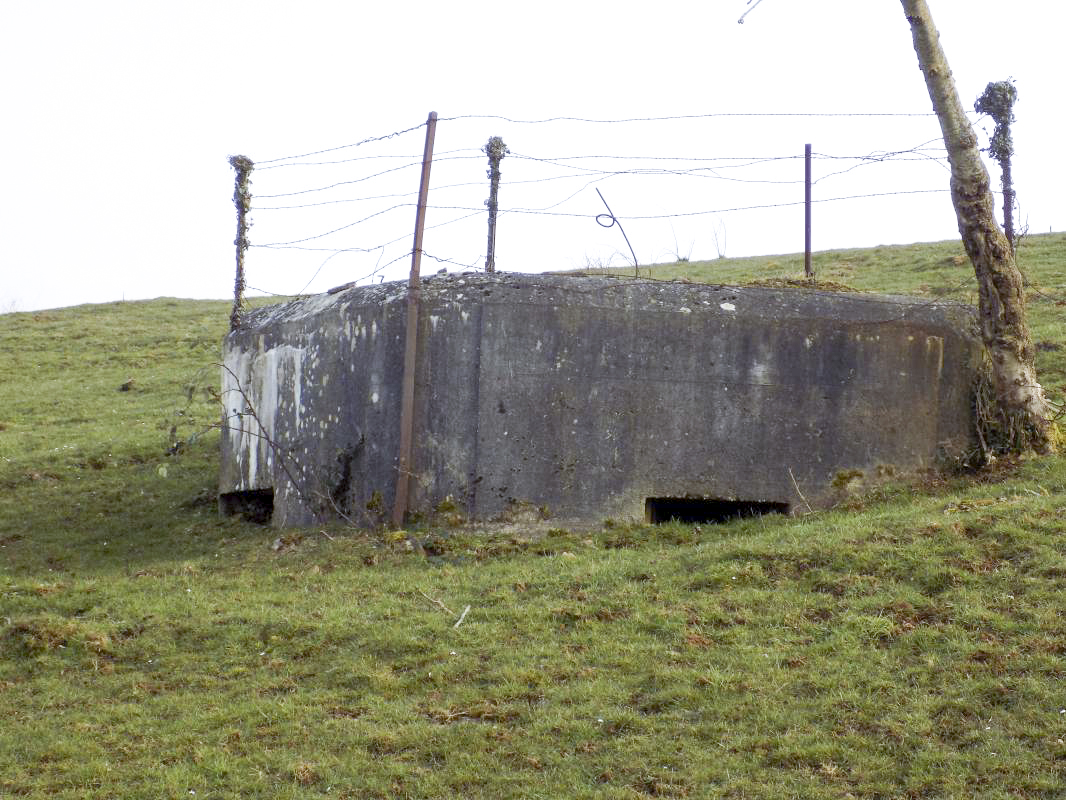 Ligne Maginot - 11B - FERME LA FOLIE - (Blockhaus pour arme infanterie) - Face frontale - R Tucker