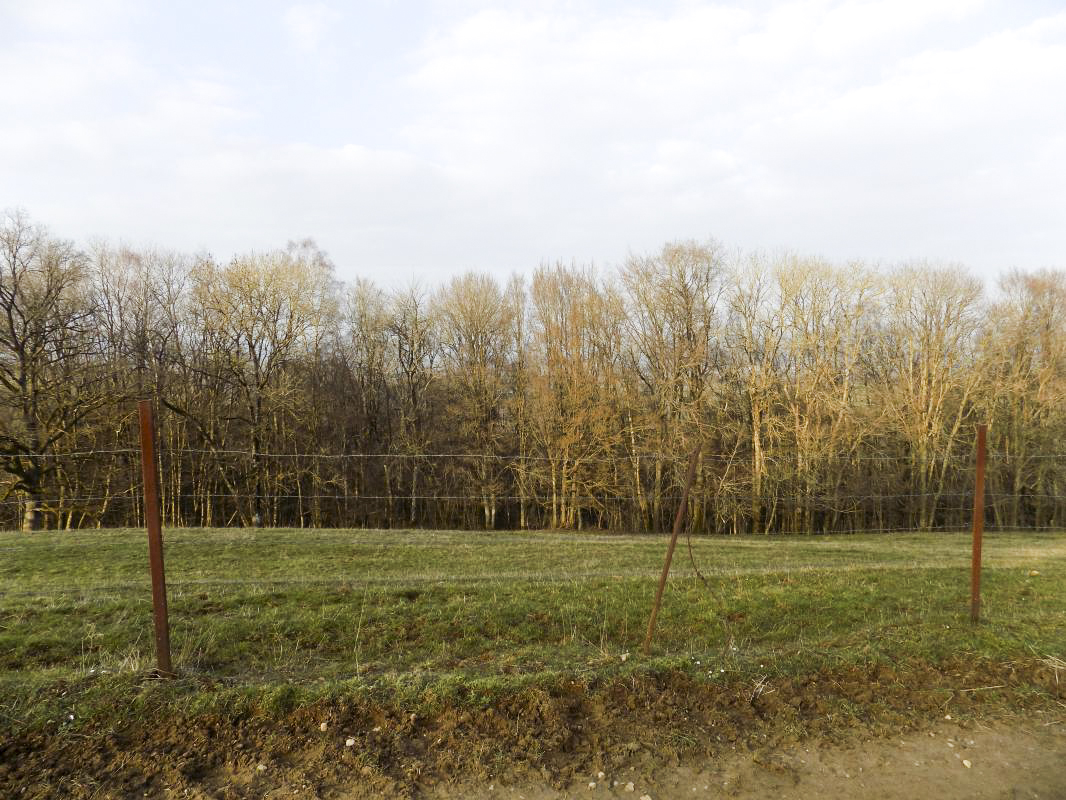 Ligne Maginot - 11B - FERME LA FOLIE - (Blockhaus pour arme infanterie) - Vue vers le nord-est - R Tucker