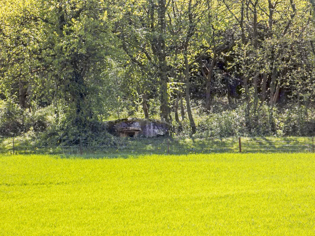 Ligne Maginot - 11C - VALMONT - (Blockhaus pour arme infanterie) - Pris du nord-est - R Tucker