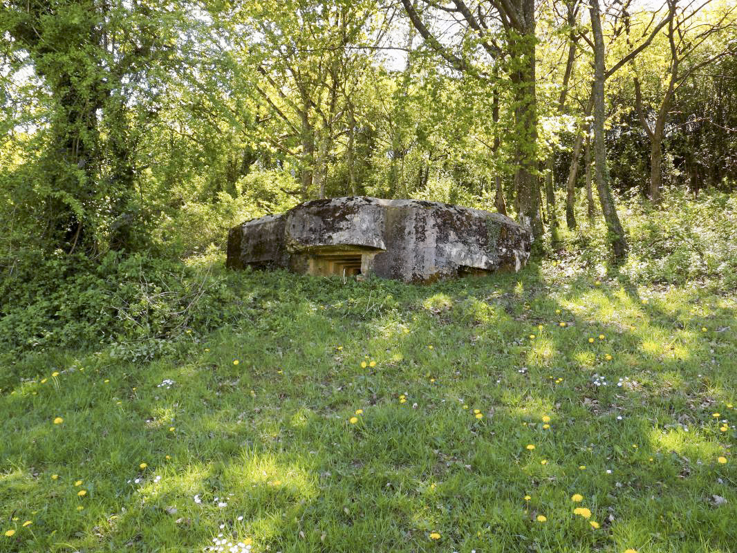 Ligne Maginot - 11C - VALMONT - (Blockhaus pour arme infanterie) - Pris du nord-est - R Tucker