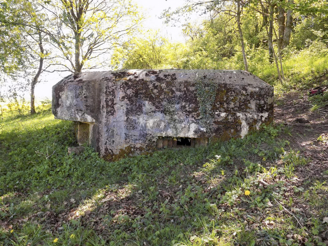 Ligne Maginot - 11C - VALMONT - (Blockhaus pour arme infanterie) - Face gauche, créneau FM/Obs - R Tucker