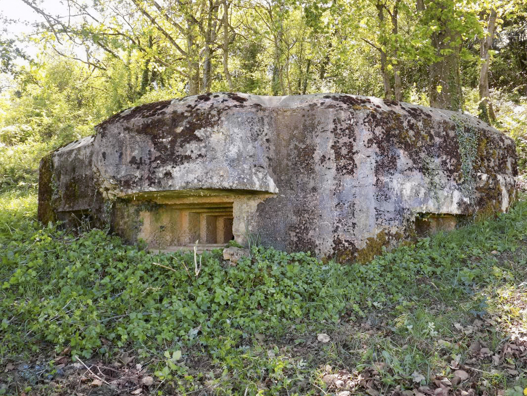 Ligne Maginot - 11C - VALMONT - (Blockhaus pour arme infanterie) - Faces frontale et gauche - R Tucker
