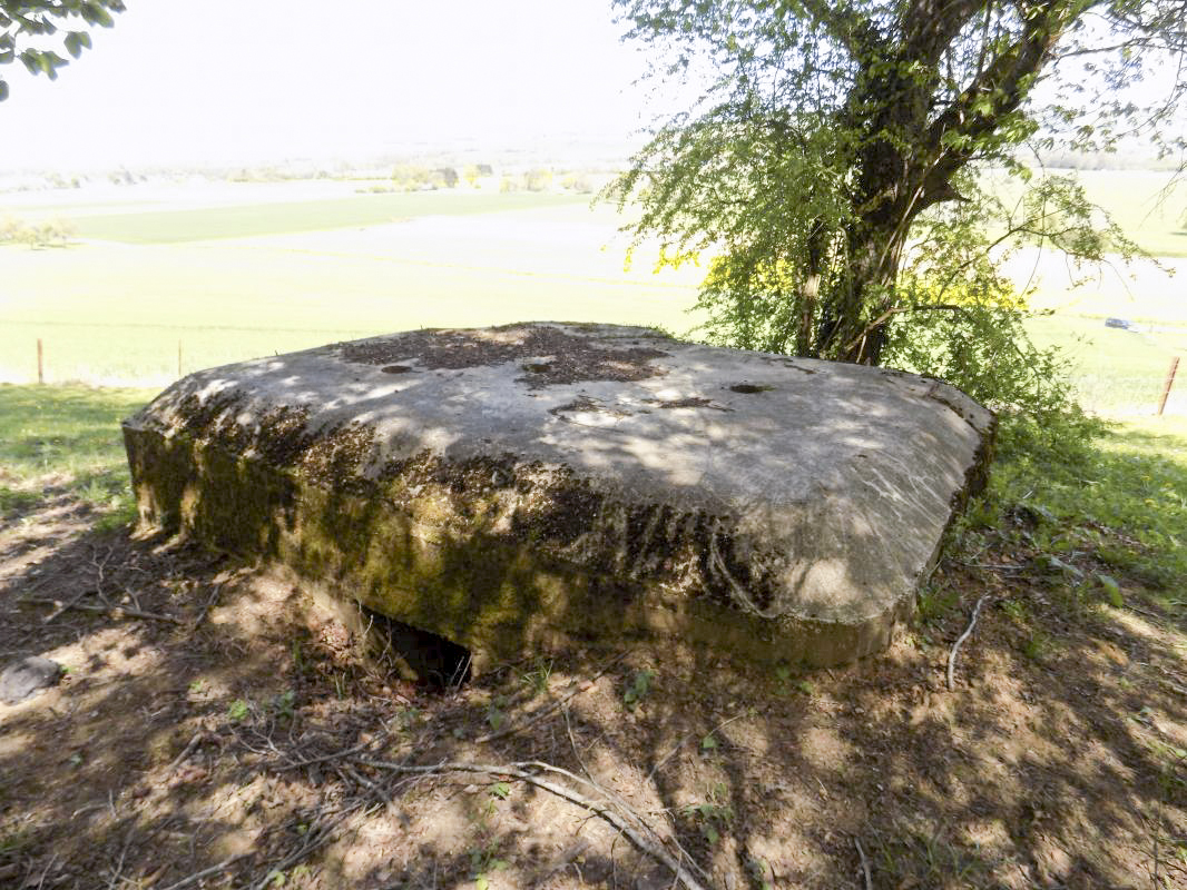 Ligne Maginot - 11C - VALMONT - (Blockhaus pour arme infanterie) - L'arrière - R Tucker