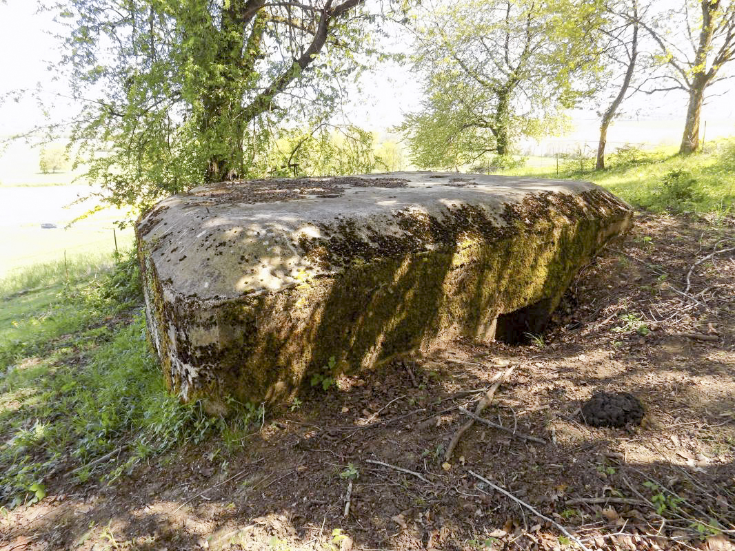 Ligne Maginot - 11C - VALMONT - (Blockhaus pour arme infanterie) - L'arrière - R Tucker
