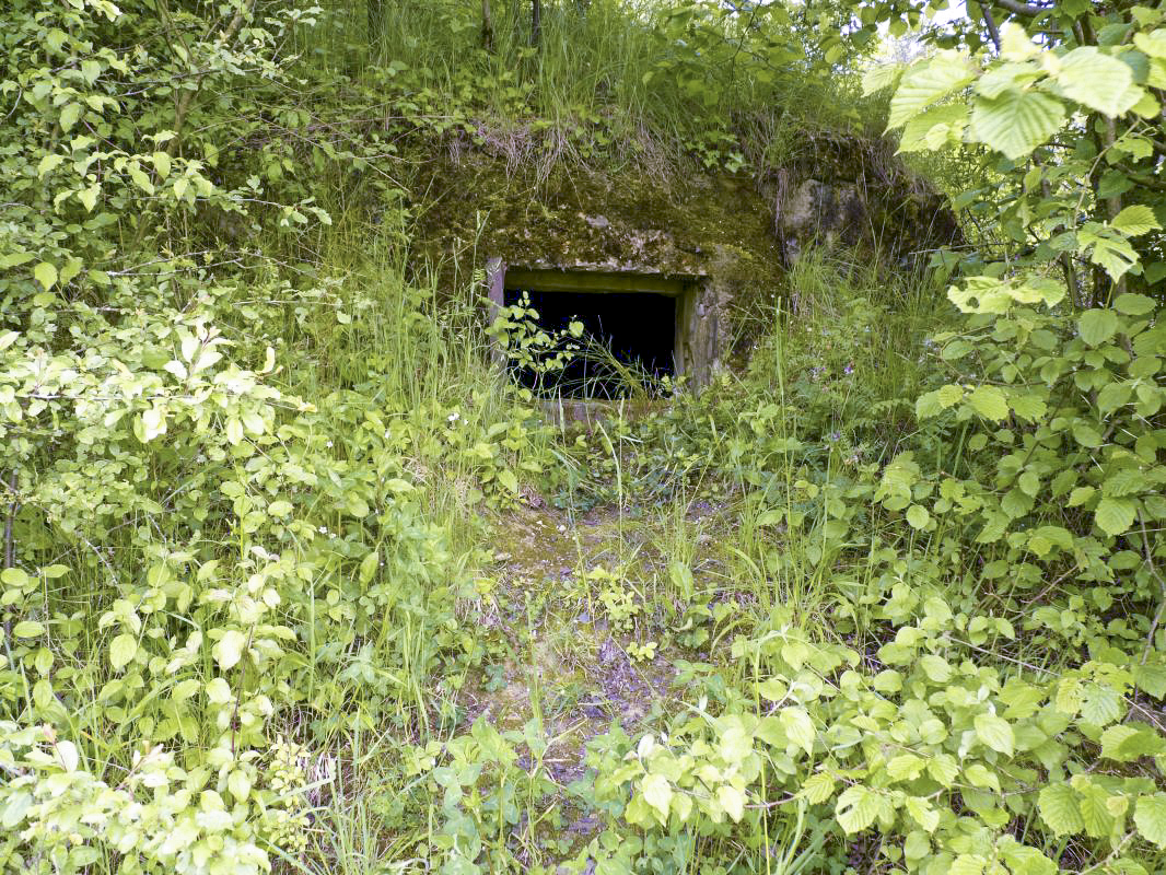 Ligne Maginot - LAUDREFANG - A37 - (Ouvrage d'infanterie) - Bloc 1
Niche extérieur  - Aditus