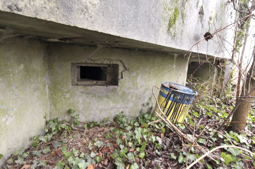 Ligne Maginot - 5 - SALMENKOPFGRUND (Blockhaus pour arme infanterie) - Vue générale - Les Gardiens du Rhin