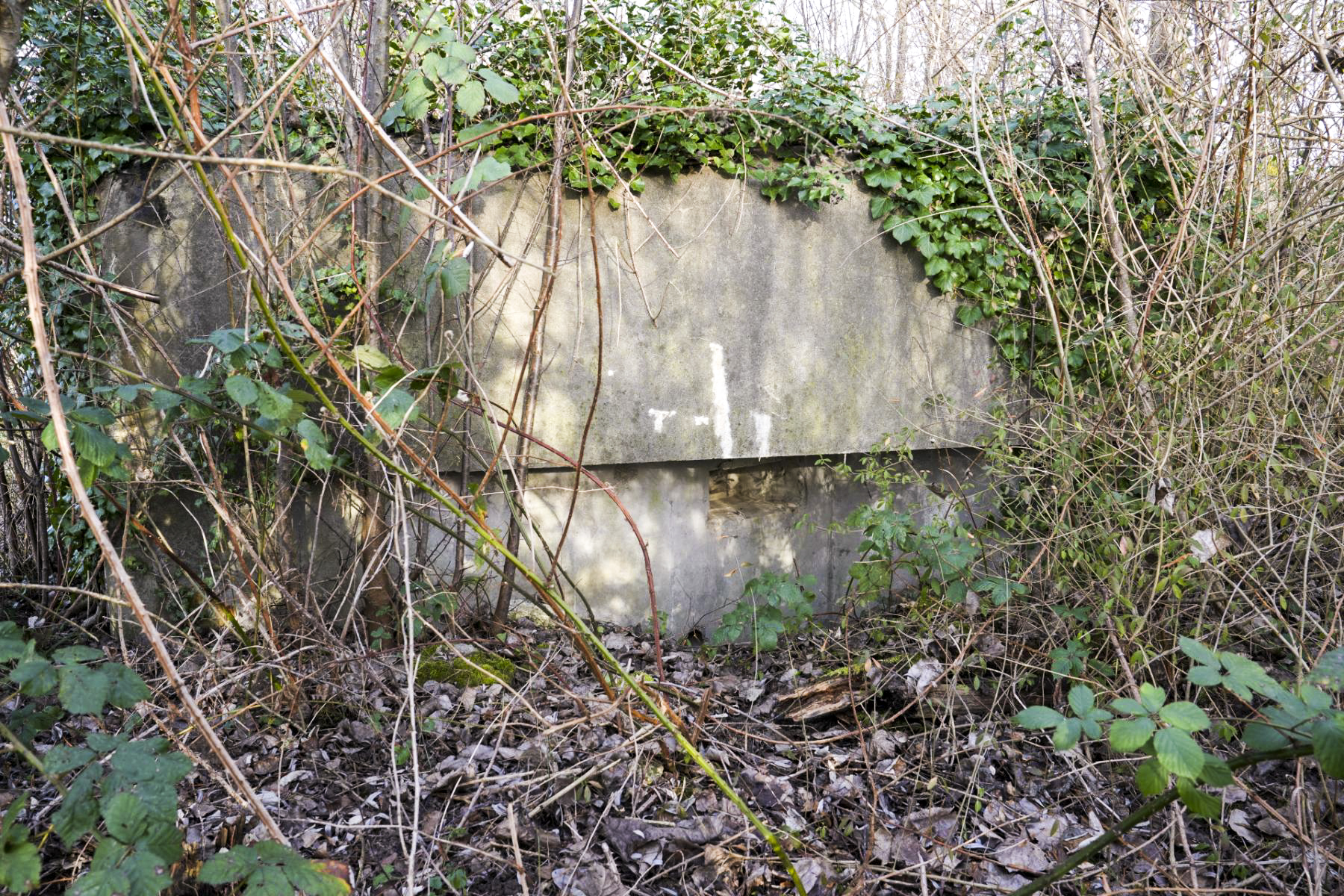 Ligne Maginot - 5 - SALMENKOPFGRUND - (Blockhaus pour arme infanterie) - Le second créneau - duomaxw