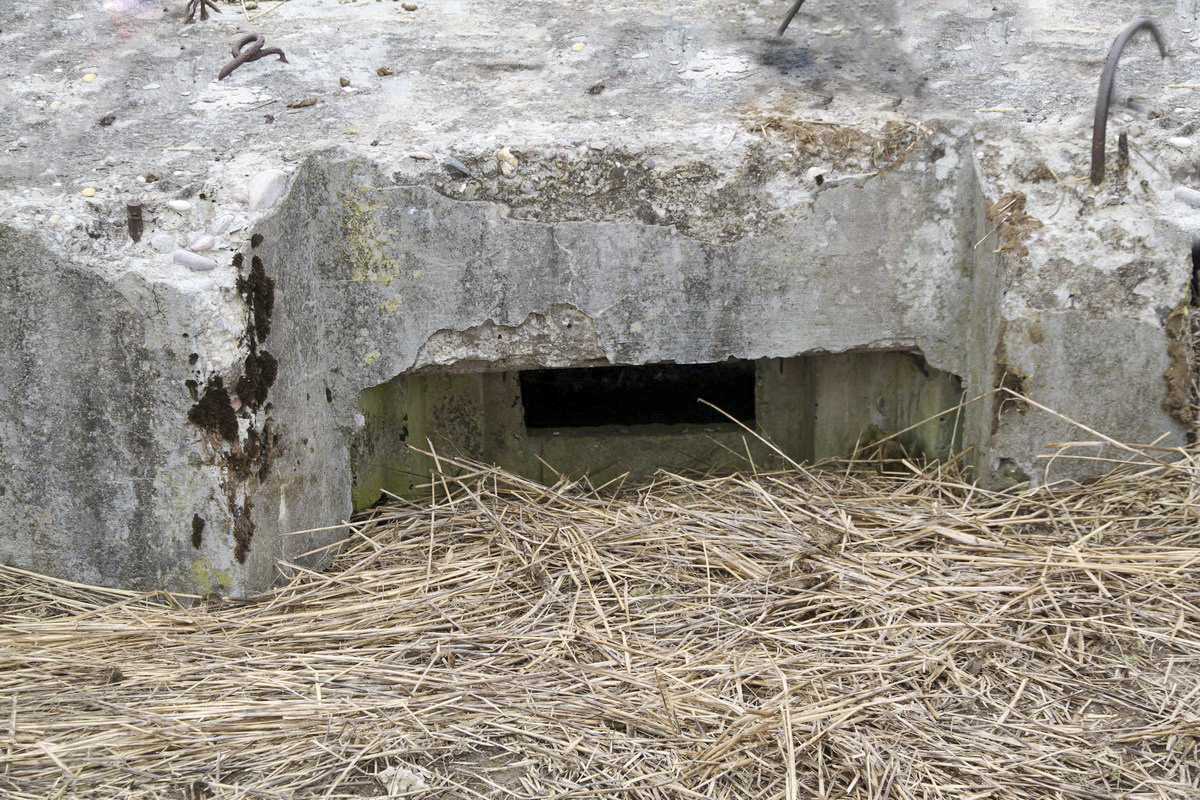 Ligne Maginot - PUTTWINKEL NORD - (Blockhaus de type indéterminé) - Le créneau - Alain Perouffe