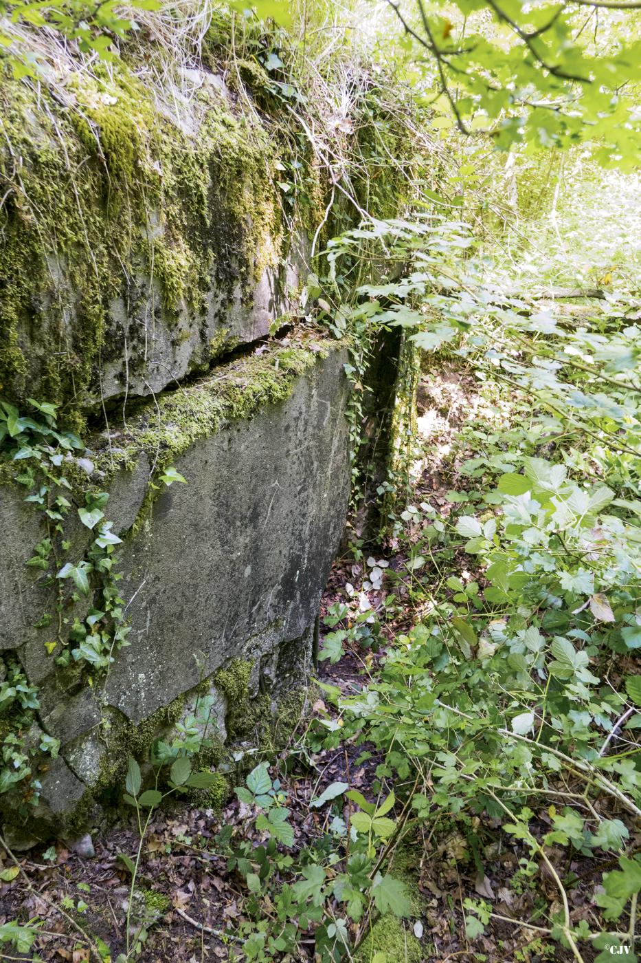 Ligne Maginot - UBERNIED 6 - (Blockhaus de type indéterminé) -  - Lia VERMEULEN