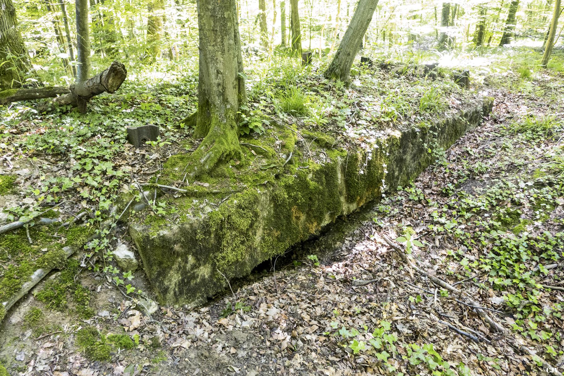 Ligne Maginot - UBERNIED 14 - (Blockhaus pour arme infanterie) -  - Lia VERMEULEN