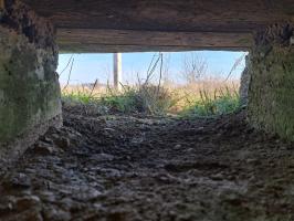 Ligne Maginot - BA82 - ROCROI OUEST 2 - (Blockhaus pour arme infanterie) - Vue depuis un créneau de mitrailleuse.