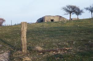 Ligne Maginot - RODENBERG 1 - (Blockhaus de type indéterminé) - 